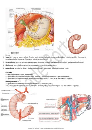 • DUODENO
Partes:
1. Superior: inicia-se após o piloro. A única parte peritonizada do duodeno são os 2cm iniciais, também chamada de
ampola ou bulbo duodenal. O restante todo é retroperitonial;
2. Descendente: curva-se ao redor da cabeça do pâncreas. Possui a papila duodenal maior e papila duodenal menor;
3. Horizontal: tem relação anatômica com os vasos mesentéricos superiores;
4. Ascendente: termina na flexura duodenojejunal, que é sustentada pelo ligamento de Treitz.
Irrigação:
- A. gastroduodenal (ramos duodenais);
- A. pancreaticoduodenal superior (ramos anterior e posterior) – ramo da A. gastroduodenal;
- A. pancreaticoduodenal inferior (ramos anterior e posterior) – ramo da A. mesentérica superior.
Drenagem venosa:
- V. pancreaticoduodenal superior posterior drena para a veia porta;
- Vv pancreaticoduodenais superior anterior e inferior (ant e post) drenam para a V. mesentérica superior.
Baixado por Amanda Freitas (amandaalmeida1996@hotmail.com)
lOMoARcPSD|5059377
 