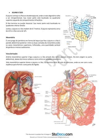 • JEJUNO E ÍLEO
O jejuno começa na flexura duodenojejunal, onde o trato digestório volta
a ser intraperitoneal. Sua maior parte está localizada no quadrante
superior esquerdo do compartimento infracólico.
O íleo termina na junção ileocecal. Sua maior parte está localizada no
quadrante inferior direito
Juntos, o jejuno e o íleo medem de 6-7 metros. O jejuno representa cerca
de 2/5 e o íleo cerca de 3/5.
Mesentério
É uma prega de peritônio em forma de leque que fixa o jejuno e o íleo à
parede abdominal posterior. Entre as duas camadas do mesentério estão
os vasos mesentéricos superiores, linfonodos, uma quantidade variável
de gordura e nervos autônomos.
Vascularização:
Artéria mesentérica superior irriga o jejuno e o íleo através dos ramos jejunais e ileais. Ela tem origem na aorta
abdominal, abaixo do tronco celíaco e corre entre as camadas mesentério.
Veia mesentérica superior drena o jejuno e o íleo. Ela termina atrás do colo do pâncreas, onde se une com a veia
esplênica para formar a veia porta do fígado.
Baixado por Amanda Freitas (amandaalmeida1996@hotmail.com)
lOMoARcPSD|5059377
 