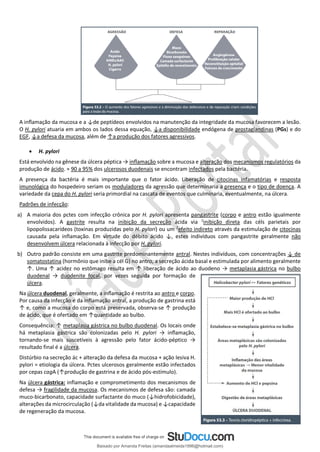 A inﬂamação da mucosa e a ↓de peptídeos envolvidos na manutenção da integridade da mucosa favorecem a lesão.
O H. pylori atuaria em ambos os lados dessa equação, ↓a disponibilidade endógena de prostaglandinas (PGs) e do
EGF, ↓a defesa da mucosa, além de ↑a produção dos fatores agressivos.
• H. pylori
Está envolvido na gênese da úlcera péptica → inﬂamação sobre a mucosa e alteração dos mecanismos regulatórios da
produção de ácido. ≈ 90 a 95% dos ulcerosos duodenais se encontram infectados pela bactéria.
A presença da bactéria é mais importante que o fator ácido. Liberação de citocinas infamatórias e resposta
imunológica do hospedeiro seriam os moduladores da agressão que determinaria a presença e o tipo de doença. A
variedade da cepa do H. pylori seria primordial na cascata de eventos que culminaria, eventualmente, na úlcera.
Padrões de infecção:
a) A maioria dos pctes com infecção crônica por H. pylori apresenta pangastrite (corpo e antro estão igualmente
envolvidos). A gastrite resulta na inibição da secreção ácida via 1
inibição direta das céls parietais por
lipopolissacarídeos (toxinas produzidas pelo H. pylori) ou um 2
efeito indireto através da estimulação de citocinas
causada pela inflamação. Em virtude do débito ácido ↓, estes indivíduos com pangastrite geralmente não
desenvolvem úlcera relacionada à infecção por H. pylori.
b) Outro padrão consiste em uma gastrite predominantemente antral. Nestes indivíduos, com concentrações ↓ de
somatostatina (hormônio que inibe a cél G) no antro, a secreção ácida basal e estimulada por alimento geralmente
↑. Uma ↑ acidez no estômago resulta em ↑ liberação de ácido ao duodeno → metaplasia gástrica no bulbo
duodenal → duodenite focal, por vezes seguida por formação de
úlcera.
Na úlcera duodenal, geralmente, a inﬂamação é restrita ao antro e corpo.
Por causa da infecção e da inflamação antral, a produção de gastrina está
↑ e, como a mucosa do corpo está preservada, observa-se ↑ produção
de ácido, que é ofertado em ↑quantidade ao bulbo.
Consequência: ↑ metaplasia gástrica no bulbo duodenal. Os locais onde
há metaplasia gástrica são colonizadas pelo H. pylori → inﬂamação,
tornando-se mais suscetíveis à agressão pelo fator ácido-péptico →
resultado final é a úlcera.
Distúrbio na secreção ác + alteração da defesa da mucosa + ação lesiva H.
pylori = etiologia da úlcera. Pctes ulcerosos geralmente estão infectados
por cepas cagA (↑produção de gastrina e de ácido pós-estímulo).
Na úlcera gástrica: inflamação e comprometimento dos mecanismos de
defesa → fragilidade da mucosa. Os mecanismos de defesa são: camada
muco-bicarbonato, capacidade surfactante do muco (↓hidrofobicidade),
alterações da microcirculação (↓da vitalidade da mucosa) e ↓capacidade
de regeneração da mucosa.
Baixado por Amanda Freitas (amandaalmeida1996@hotmail.com)
lOMoARcPSD|5059377
 