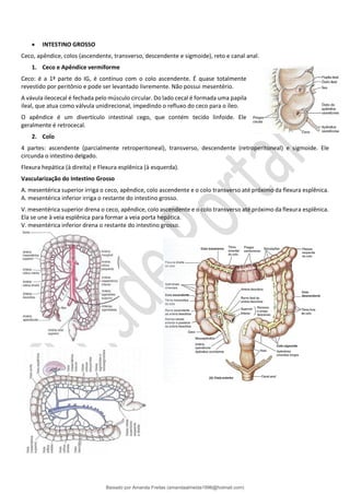 • INTESTINO GROSSO
Ceco, apêndice, colos (ascendente, transverso, descendente e sigmoide), reto e canal anal.
1. Ceco e Apêndice vermiforme
Ceco: é a 1ª parte do IG, é contínuo com o colo ascendente. É quase totalmente
revestido por peritônio e pode ser levantado livremente. Não possui mesentério.
A vávula ileocecal é fechada pelo músculo circular. Do lado cecal é formada uma papila
ileal, que atua como válvula unidirecional, impedindo o refluxo do ceco para o íleo.
O apêndice é um divertículo intestinal cego, que contém tecido linfoide. Ele
geralmente é retrocecal.
2. Colo
4 partes: ascendente (parcialmente retroperitoneal), transverso, descendente (retroperitoneal) e sigmoide. Ele
circunda o intestino delgado.
Flexura hepática (à direita) e Flexura esplênica (à esquerda).
Vascularização do Intestino Grosso
A. mesentérica superior irriga o ceco, apêndice, colo ascendente e o colo transverso até próximo da flexura esplênica.
A. mesentérica inferior irriga o restante do intestino grosso.
V. mesentérica superior drena o ceco, apêndice, colo ascendente e o colo transverso até próximo da flexura esplênica.
Ela se une à veia esplênica para formar a veia porta hepática.
V. mesentérica inferior drena o restante do intestino grosso.
Baixado por Amanda Freitas (amandaalmeida1996@hotmail.com)
lOMoARcPSD|5059377
 