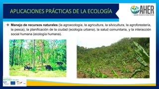APLICACIONES PRÁCTICAS DE LA ECOLOGÍA
❖ Manejo de recursos naturales (la agroecología, la agricultura, la silvicultura, la agroforestería,
la pesca), la planificación de la ciudad (ecología urbana), la salud comunitaria, y la interacción
social humana (ecología humana).
 