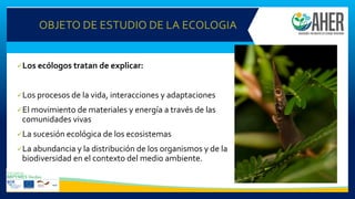 OBJETO DE ESTUDIO DE LA ECOLOGIA
✓Los ecólogos tratan de explicar:
✓Los procesos de la vida, interacciones y adaptaciones
✓El movimiento de materiales y energía a través de las
comunidades vivas
✓La sucesión ecológica de los ecosistemas
✓La abundancia y la distribución de los organismos y de la
biodiversidad en el contexto del medio ambiente.
 