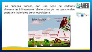 Las cadenas tróficas, son una serie de cadenas
alimentarias íntimamente relacionadas por las que circulan
energía y materiales en un ecosistema.
 
