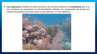 ❖ Los organismos (incluidos los seres humanos) y los recursos componen los ecosistemas que, a su
vez, mantienen los mecanismos de retroalimentación biofísicos son componentes del planeta que
moderan los procesos que actúan sobre la vida (bióticos) y no vivos (abióticos).
 