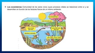 ❖ Los ecosistemas Comunidad de los seres vivos cuyos procesos vitales se relacionan entre sí y se
desarrollan en función de los factores físicos de un mismo ambiente.
 