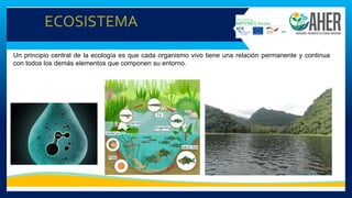 ECOSISTEMA
Un principio central de la ecología es que cada organismo vivo tiene una relación permanente y continua
con todos los demás elementos que componen su entorno.
 