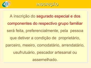 INSCRIÇÃO

A inscrição do segurado especial e dos
A inscrição do segurado especial e dos
componentes do respectivo grupo familiar
componentes do respectivo grupo familiar
será feita, preferencialmente, pela pessoa
será feita, preferencialmente, pela pessoa
que detiver a condição de proprietário,
que detiver a condição de proprietário,
parceiro, meeiro, comodatário, arrendatário,
parceiro, meeiro, comodatário, arrendatário,
usufrutuário, pescador artesanal ou
usufrutuário, pescador artesanal ou
assemelhado.
assemelhado.

 