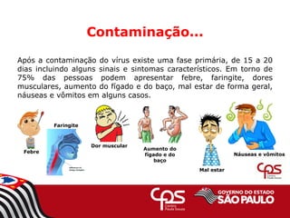 Contaminação...
Após a contaminação do vírus existe uma fase primária, de 15 a 20
dias incluindo alguns sinais e sintomas característicos. Em torno de
75% das pessoas podem apresentar febre, faringite, dores
musculares, aumento do fígado e do baço, mal estar de forma geral,
náuseas e vômitos em alguns casos.
Febre
Dor muscular
Mal estar
Náuseas e vômitos
Faringite
Aumento do
fígado e do
baço
 