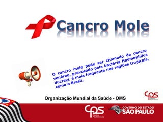 Organização Mundial da Saúde - OMS
 