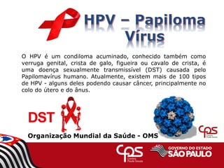 O HPV é um condiloma acuminado, conhecido também como
verruga genital, crista de galo, figueira ou cavalo de crista, é
uma doença sexualmente transmissível (DST) causada pelo
Papilomavírus humano. Atualmente, existem mais de 100 tipos
de HPV - alguns deles podendo causar câncer, principalmente no
colo do útero e do ânus.
Organização Mundial da Saúde - OMS
 
