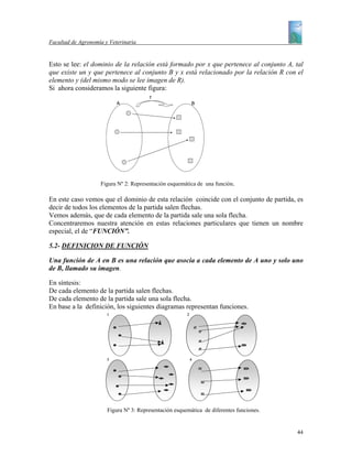 Facultad de Agronomía y Veterinaria


Esto se lee: el dominio de la relación está formado por x que pertenece al conjunto A, tal
que existe un y que pertenece al conjunto B y x está relacionado por la relación R con el
elemento y (del mismo modo se lee imagen de R).
Si ahora consideramos la siguiente figura:
                                        f
                           A                                B




                    Figura Nº 2: Representación esquemática de una función.

En este caso vemos que el dominio de esta relación coincide con el conjunto de partida, es
decir de todos los elementos de la partida salen flechas.
Vemos además, que de cada elemento de la partida sale una sola flecha.
Concentraremos nuestra atención en estas relaciones particulares que tienen un nombre
especial, el de “FUNCIÓN”.

5.2- DEFINICION DE FUNCIÓN

Una función de A en B es una relación que asocia a cada elemento de A uno y solo uno
de B, llamado su imagen.

En síntesis:
De cada elemento de la partida salen flechas.
De cada elemento de la partida sale una sola flecha.
En base a la definición, los siguientes diagramas representan funciones.
                       1                                2




                       3                                    4




                       Figura Nº 3: Representación esquemática de diferentes funciones.


                                                                                          44
 