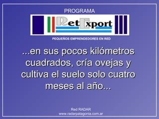 ...en sus pocos kilómetros cuadrados, cría ovejas y cultiva el suelo solo cuatro meses al año... 