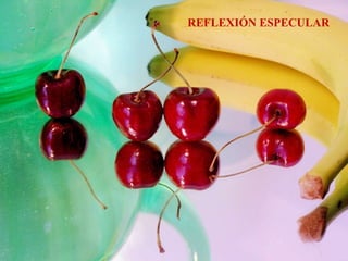 REFLEXIÓN ESPECULAR 