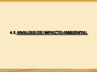 4.5 ANALISIS DE IMPACTO AMBIENTAL
 