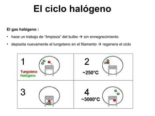 El ciclo halógeno <ul><li>El gas halógeno :  </li></ul><ul><li>hace un trabajo de “limpieza” del bulbo    sin ennegrecimi...