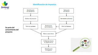 FreeLibros
Identificación de impactos.
Se parte del
conocimiento del
proyecto:
 