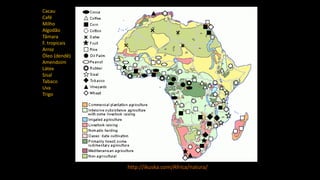 http://ikuska.com/Africa/natura/
Cacau
Café
Milho
Algodão
Tâmara
F. tropicais
Arroz
Óleo (dendê)
Amendoim
Látex
Sisal
Tabaco
Uva
Trigo
 