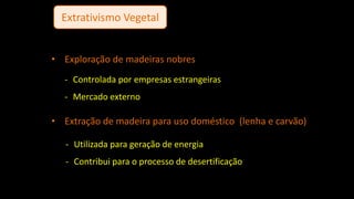 Extrativismo Vegetal
• Exploração de madeiras nobres
• Extração de madeira para uso doméstico (lenha e carvão)
- Controlada por empresas estrangeiras
- Mercado externo
- Utilizada para geração de energia
- Contribui para o processo de desertificação
 