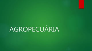 AGROPECUÁRIA
 