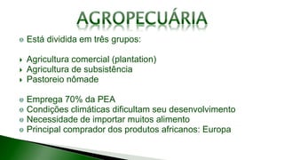 Está dividida em três grupos:
 Agricultura comercial (plantation)
 Agricultura de subsistência
 Pastoreio nômade
Emprega 70% da PEA
Condições climáticas dificultam seu desenvolvimento
Necessidade de importar muitos alimento
Principal comprador dos produtos africanos: Europa
 