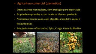 - Extensas áreas monocultora, com produção para exportação
- Propriedades privadas e com moderna técnicas produção
- Principais produtos: cana, café, algodão, amendoim, cacau e
frutas tropicais
- Principais áreas: África do Sul, Egito, Congo, Costa do Marfim
• Agricultura comercial (plantation)
 