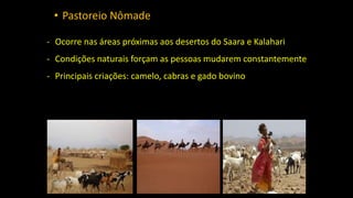 • Pastoreio Nômade
- Ocorre nas áreas próximas aos desertos do Saara e Kalahari
- Condições naturais forçam as pessoas mudarem constantemente
- Principais criações: camelo, cabras e gado bovino
 