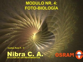 MODULO NR. 4: FOTO-BIOLOGÍA SECCIÓN DE ENTRENAMIENTOS Nibra C. A. Carlos Ruiz P.  © 