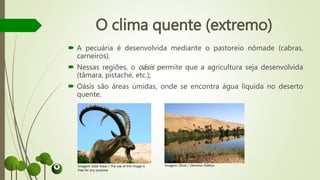  A pecuária é desenvolvida mediante o pastoreio nômade (cabras,
carneiros).
 Nessas regiões, o oásis permite que a agricultura seja desenvolvida
(tâmara, pistache, etc.);
 Oásis são áreas úmidas, onde se encontra água líquida no deserto
quente.
O clima quente (extremo)
Imagem: Ester Inbar / The use of this image is
free for any purpose
Imagem: Sfivat / Domínio Público
 