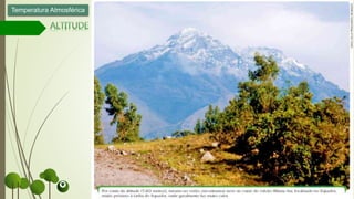 Temperatura Atmosférica
 