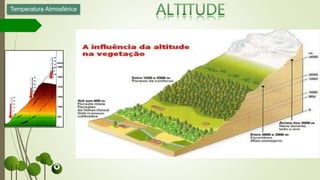Temperatura Atmosférica
 