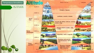 Temperatura Atmosférica
 