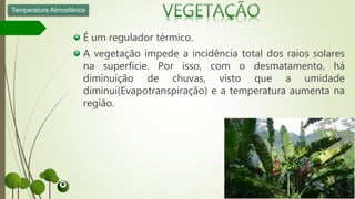 É um regulador térmico.
A vegetação impede a incidência total dos raios solares
na superfície. Por isso, com o desmatamento, há
diminuição de chuvas, visto que a umidade
diminui(Evapotranspiração) e a temperatura aumenta na
região.
Temperatura Atmosférica
 