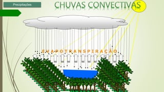E V A P O T R A N S P I R A Ç Ã O
Precipitações
 