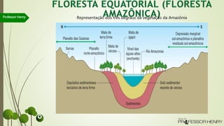 Professor Henry Representação dos três degraus da vegetação da Amazônia
 