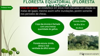 Professor Henry Mata de várzea: se estabelece em áreas mais elevadas em relação às
matas de igapó, mesmo assim sofre inundações, porém somente
nos períodos de cheias.
Copa das árvores é fechada
com uma imensa
quantidade de galhos.
Floresta escura, úmida,
densa e mal
ventilada de difícil acesso.
Árvores medias
de 20 a 30 m
de altura.
 
