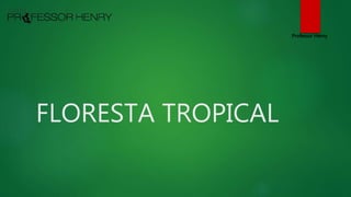 FLORESTA TROPICAL
Professor Henry
 
