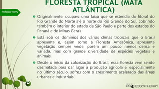 Originalmente, ocupava uma faixa que se estendia do litoral do
Rio Grande do Norte até o norte do Rio Grande do Sul, cobrindo
também o interior do estado de São Paulo e parte dos estados do
Paraná e de Minas Gerais.
Está sob os domínios dos vários climas tropicais que o Brasil
apresenta e, assim como a Floresta Amazônica, apresenta
vegetação sempre verde, porém um pouco menos densa e
variada, mas com grande diversidade de espécies vegetais e
animais.
Desde o início da colonização do Brasil, essa floresta vem sendo
desmatada para dar lugar à produção agrícola e, especialmente
no último século, sofreu com o crescimento acelerado das áreas
urbanas e industriais.
Professor Henry
 