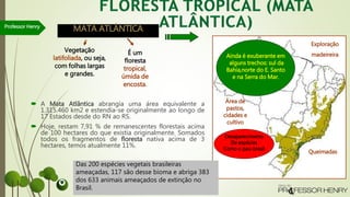  A Mata Atlântica abrangia uma área equivalente a
1.315.460 km2 e estendia-se originalmente ao longo de
17 Estados desde do RN ao RS.
 Hoje, restam 7,91 % de remanescentes florestais acima
de 100 hectares do que existia originalmente. Somados
todos os fragmentos de floresta nativa acima de 3
hectares, temos atualmente 11%.
Professor Henry
MATA ATLÂNTICA
É um
floresta
tropical,
úmida de
encosta.
Vegetação
latifoliada, ou seja,
com folhas largas
e grandes.
Das 200 espécies vegetais brasileiras
ameaçadas, 117 são desse bioma e abriga 383
dos 633 animais ameaçados de extinção no
Brasil.
Queimadas
Exploração
madeireira
Área de
pastos,
cidades e
cultivo
Ainda é exuberante em
alguns trechos: sul da
Bahia,norte do E. Santo
e na Serra do Mar.
Desaparecimento
De espécies
Como o pau-brasil
 