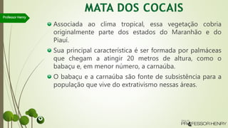 Associada ao clima tropical, essa vegetação cobria
originalmente parte dos estados do Maranhão e do
Piauí.
Sua principal característica é ser formada por palmáceas
que chegam a atingir 20 metros de altura, como o
babaçu e, em menor número, a carnaúba.
O babaçu e a carnaúba são fonte de subsistência para a
população que vive do extrativismo nessas áreas.
Professor Henry
 