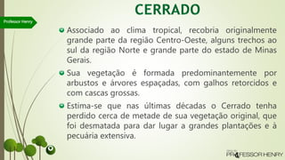 Associado ao clima tropical, recobria originalmente
grande parte da região Centro-Oeste, alguns trechos ao
sul da região Norte e grande parte do estado de Minas
Gerais.
Sua vegetação é formada predominantemente por
arbustos e árvores espaçadas, com galhos retorcidos e
com cascas grossas.
Estima-se que nas últimas décadas o Cerrado tenha
perdido cerca de metade de sua vegetação original, que
foi desmatada para dar lugar a grandes plantações e à
pecuária extensiva.
Professor Henry
 