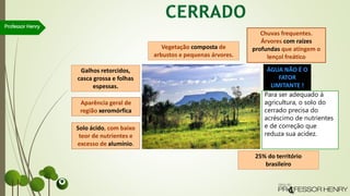 Professor Henry
Vegetação composta de
arbustos e pequenas árvores.
Galhos retorcidos,
casca grossa e folhas
espessas.
Aparência geral de
região xeromórfica
Chuvas frequentes.
Árvores com raízes
profundas que atingem o
lençol freático
Solo ácido, com baixo
teor de nutrientes e
excesso de alumínio.
ÁGUA NÃO É O
FATOR
LIMITANTE !
25% do território
brasileiro
Para ser adequado à
agricultura, o solo do
cerrado precisa do
acréscimo de nutrientes
e de correção que
reduza sua acidez.
 