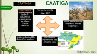 Professor Henry
Temperatura média
Alta = 250C
Muitos ventos,umidade
do ar baixa e muita
evaporação.
Solo cristalino,
impermeável. Não
armazena água.
Época da seca,
vegetação perde
as folhas (
caducifólias),
aspecto seco e
espinhoso
(Plantas
xerófitas).
CAATINGA
Sertão nordestino 11%
do território brasileiro
 