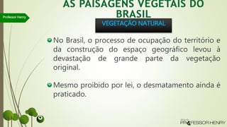 No Brasil, o processo de ocupação do território e
da construção do espaço geográfico levou à
devastação de grande parte da vegetação
original.
Mesmo proibido por lei, o desmatamento ainda é
praticado.
Professor Henry
VEGETAÇÃO NATURAL
 