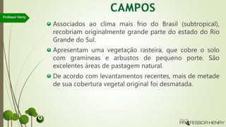 Associados ao clima mais frio do Brasil (subtropical),
recobriam originalmente grande parte do estado do Rio
Grande do Sul.
Apresentam uma vegetação rasteira, que cobre o solo
com gramíneas e arbustos de pequeno porte. São
excelentes áreas de pastagem natural.
De acordo com levantamentos recentes, mais de metade
de sua cobertura vegetal original foi desmatada.
Professor Henry
 