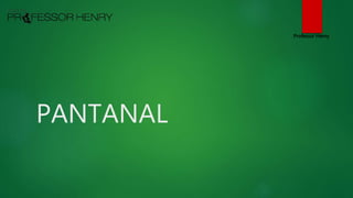 PANTANAL
Professor Henry
 