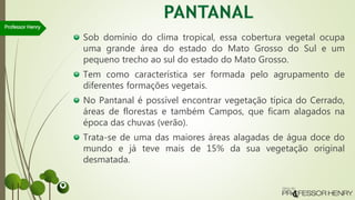 Sob domínio do clima tropical, essa cobertura vegetal ocupa
uma grande área do estado do Mato Grosso do Sul e um
pequeno trecho ao sul do estado do Mato Grosso.
Tem como característica ser formada pelo agrupamento de
diferentes formações vegetais.
No Pantanal é possível encontrar vegetação típica do Cerrado,
áreas de florestas e também Campos, que ficam alagados na
época das chuvas (verão).
Trata-se de uma das maiores áreas alagadas de água doce do
mundo e já teve mais de 15% da sua vegetação original
desmatada.
Professor Henry
 