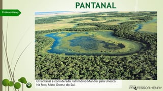 Professor Henry
O Pantanal é considerado Patrimônio Mundial pela Unesco.
Na foto, Mato Grosso do Sul.
ARAQUÉM
ALCÂNTARA/SAMBA
TO
 