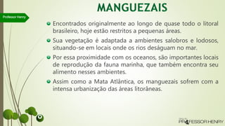 Encontrados originalmente ao longo de quase todo o litoral
brasileiro, hoje estão restritos a pequenas áreas.
Sua vegetação é adaptada a ambientes salobros e lodosos,
situando-se em locais onde os rios deságuam no mar.
Por essa proximidade com os oceanos, são importantes locais
de reprodução da fauna marinha, que também encontra seu
alimento nesses ambientes.
Assim como a Mata Atlântica, os manguezais sofrem com a
intensa urbanização das áreas litorâneas.
Professor Henry
 