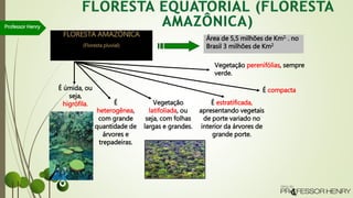 Professor Henry
FLORESTA AMAZÔNICA
(Floresta pluvial)
Área de 5,5 milhões de Km2. . no
Brasil 3 milhões de Km2
Vegetação perenifólias, sempre
verde.
É compacta
É estratificada,
apresentando vegetais
de porte variado no
interior da árvores de
grande porte.
É úmida, ou
seja,
higrófila. É
heterogênea,
com grande
quantidade de
árvores e
trepadeiras.
Vegetação
latifoliada, ou
seja, com folhas
largas e grandes.
 