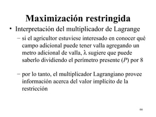 Maximización restringida Interpretación del multiplicador de Lagrange si el agricultor estuviese interesado en conocer qué campo adicional puede tener valla agregando un metro adicional de valla,    sugiere que puede saberlo dividiendo el perímetro presente ( P ) por 8 por lo tanto, el multiplicador Lagrangiano provee información acerca del valor implícito de la restricción 